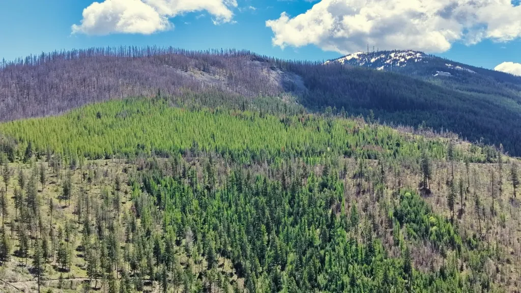 Nhn Highway 28 Plains MT 59859