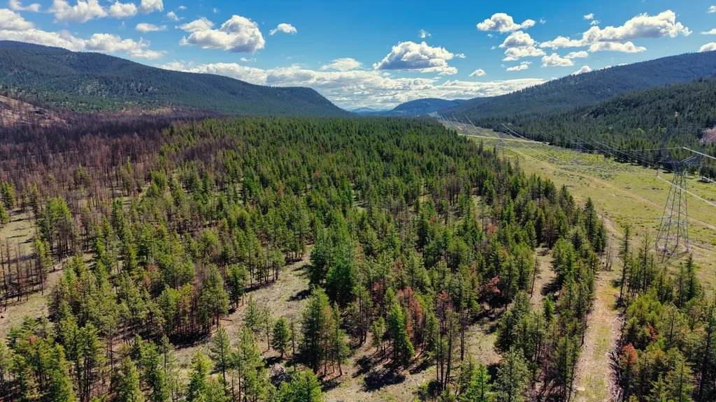 Nhn Highway 28 Plains MT 59859