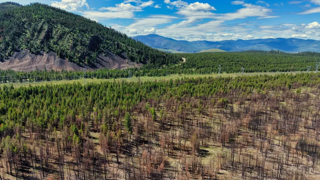Nhn Highway 28 Plains MT 59859