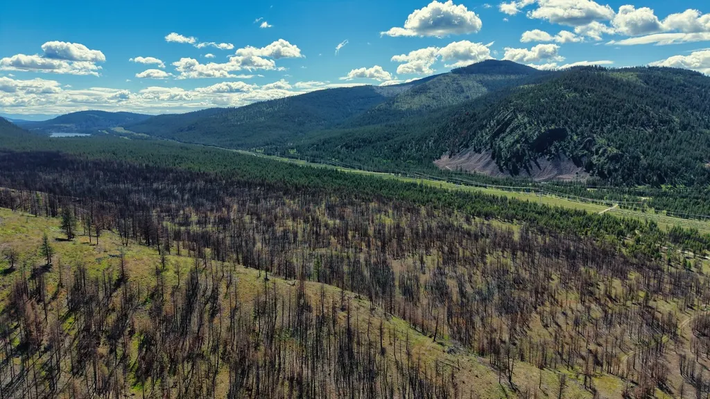 Nhn Highway 28 Plains MT 59859