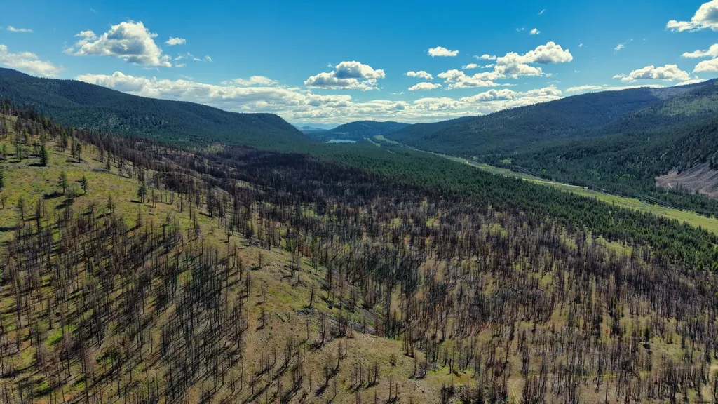 Nhn Highway 28 Plains MT 59859