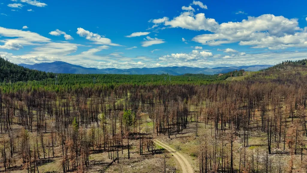 Nhn Highway 28 Plains MT 59859