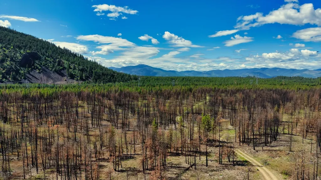 Nhn Highway 28 Plains MT 59859