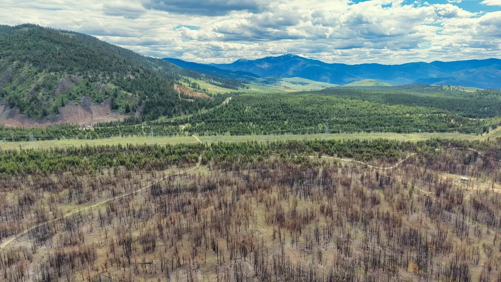 Nhn Highway 28 Plains MT 59859