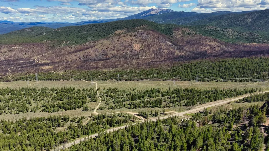 Nhn Highway 28 Plains MT 59859