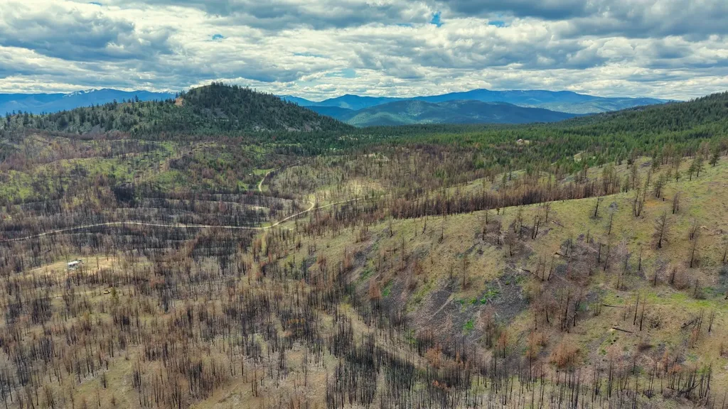 Nhn Highway 28 Plains MT 59859