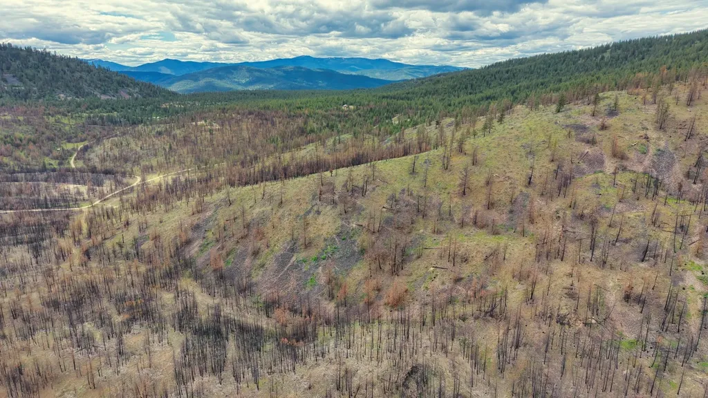 Nhn Highway 28 Plains MT 59859