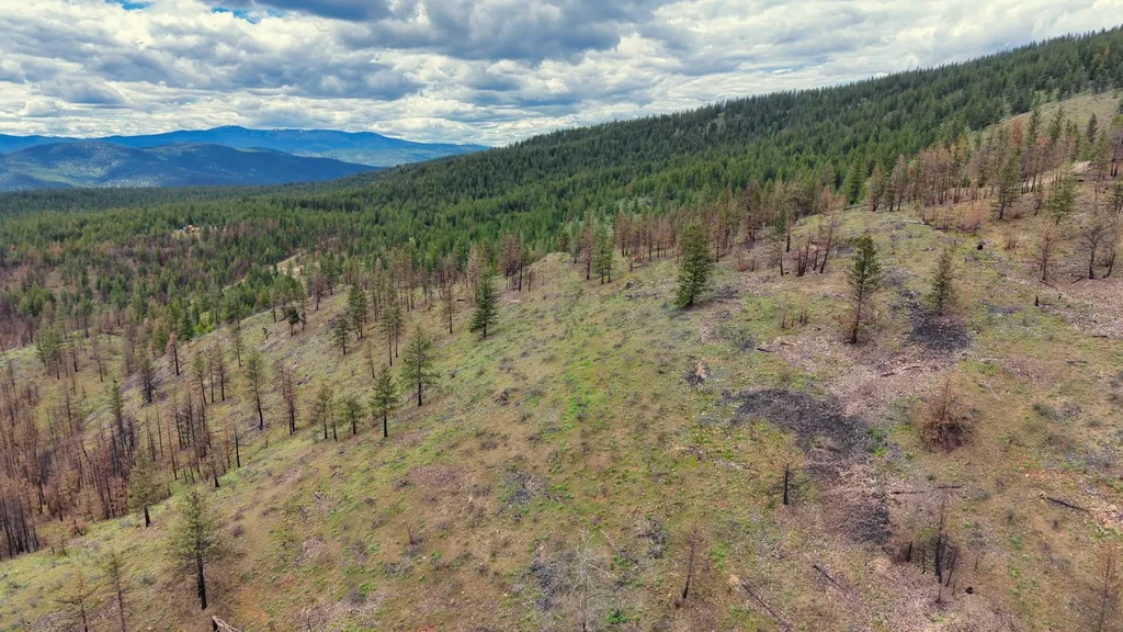 Nhn Highway 28 Plains MT 59859