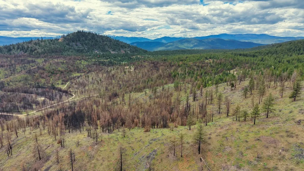 Nhn Highway 28 Plains MT 59859