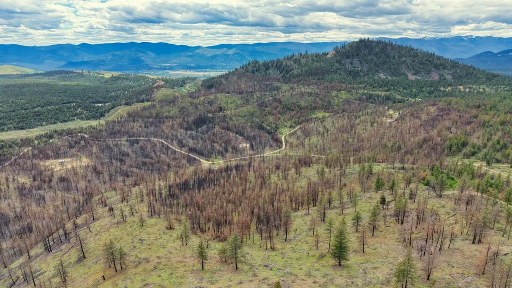 Nhn Highway 28 Plains MT 59859