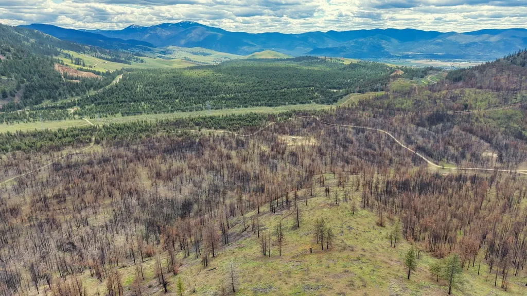 Nhn Highway 28 Plains MT 59859