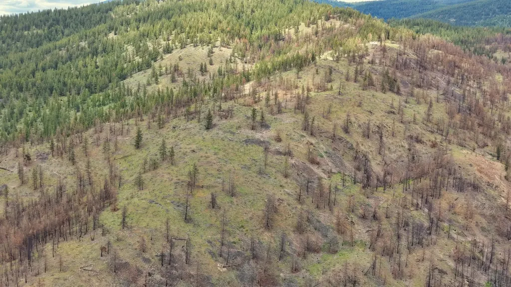Nhn Highway 28 Plains MT 59859
