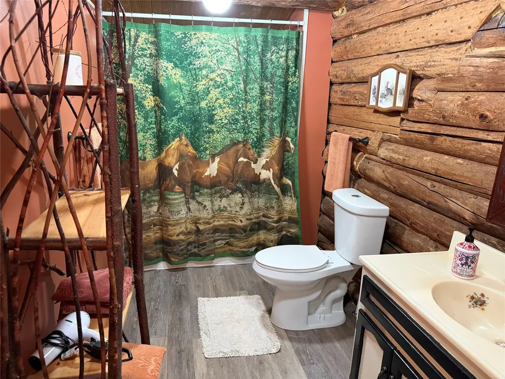 171 Clark Creek Loop Plains MT 59859