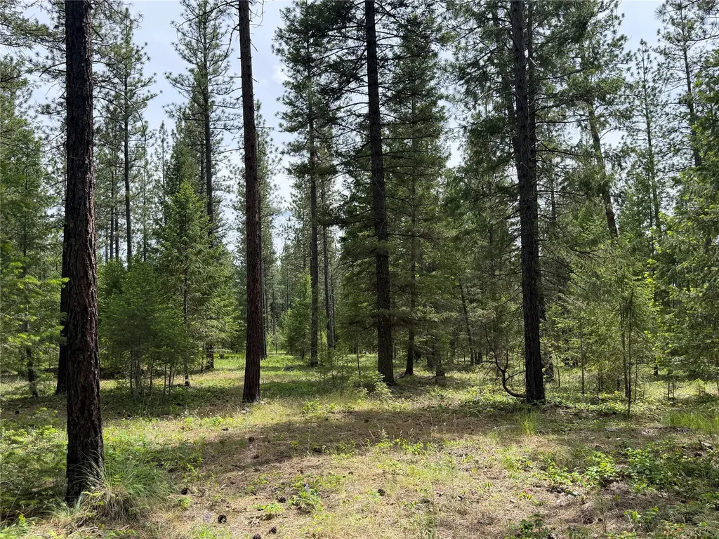 171 Clark Creek Loop Plains MT 59859