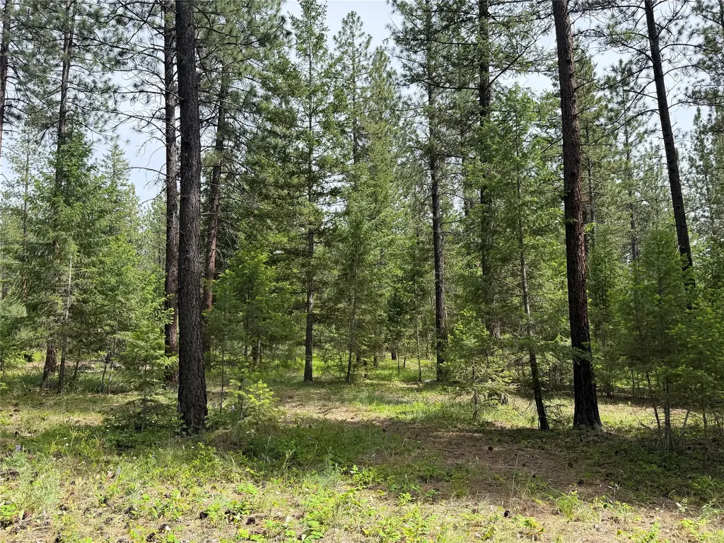 171 Clark Creek Loop Plains MT 59859