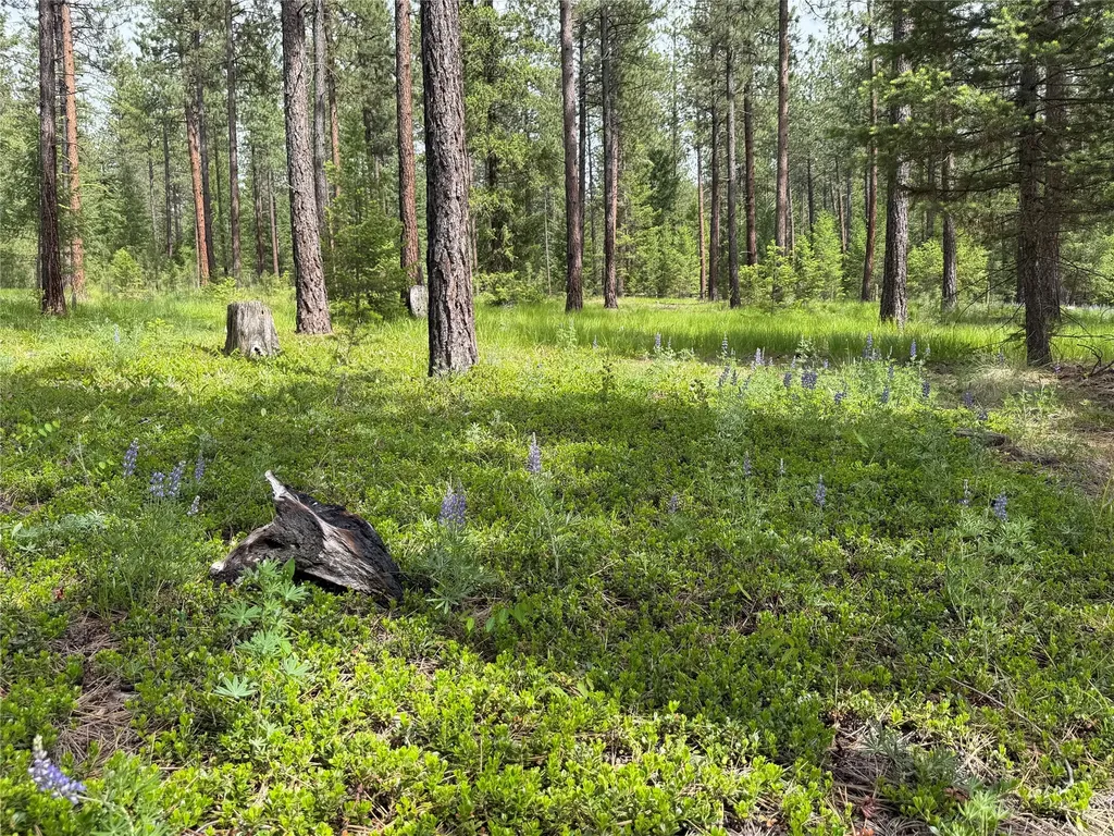171 Clark Creek Loop Plains MT 59859