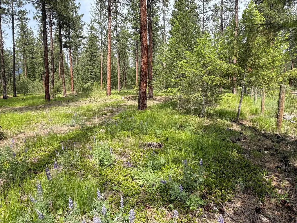 171 Clark Creek Loop Plains MT 59859