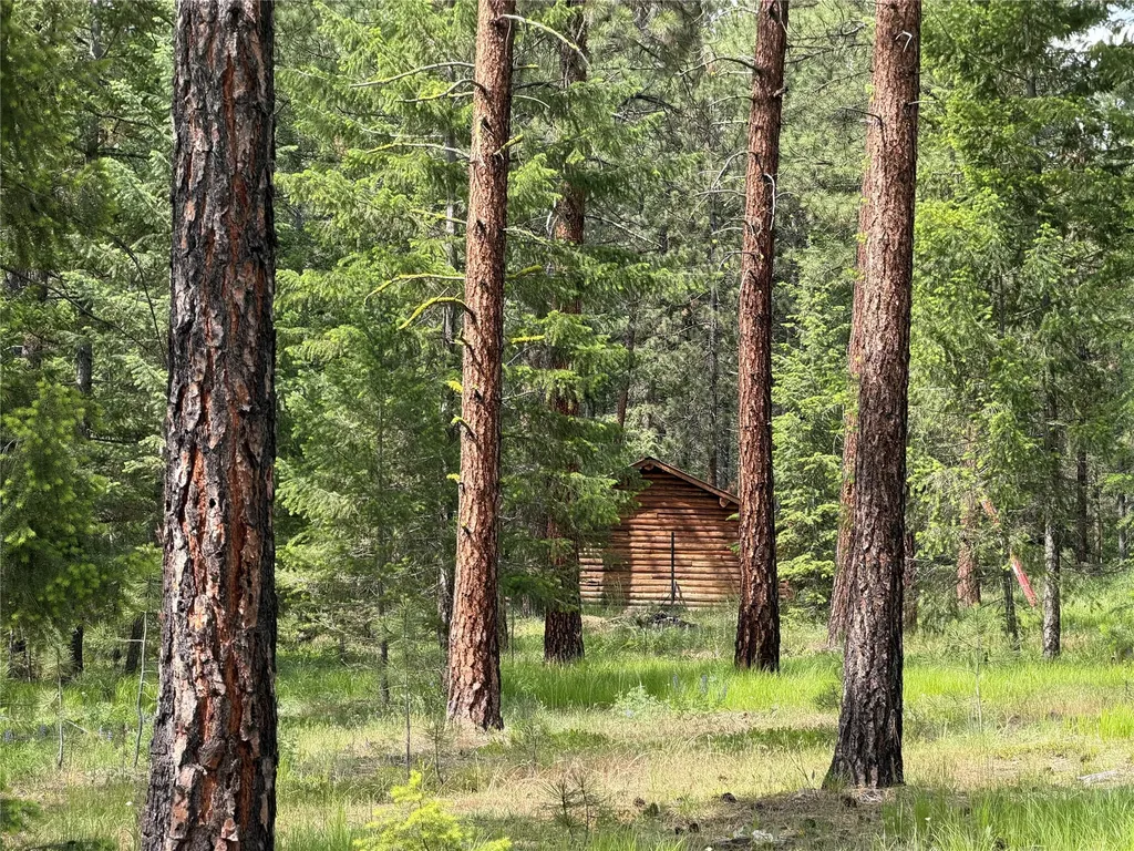 171 Clark Creek Loop Plains MT 59859