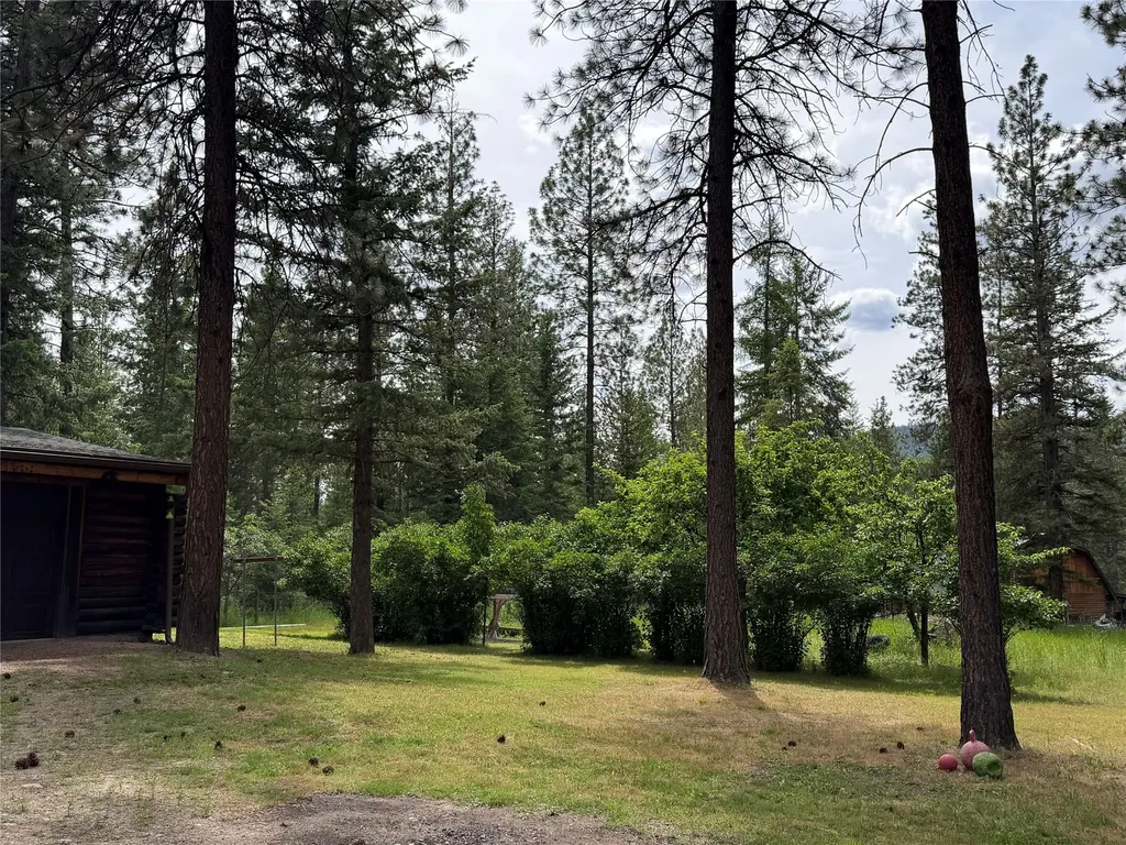 171 Clark Creek Loop Plains MT 59859