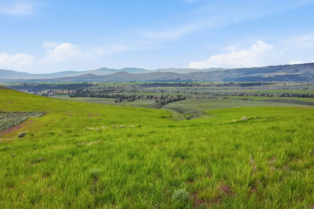 241 Double D Road Stevensville MT 59870