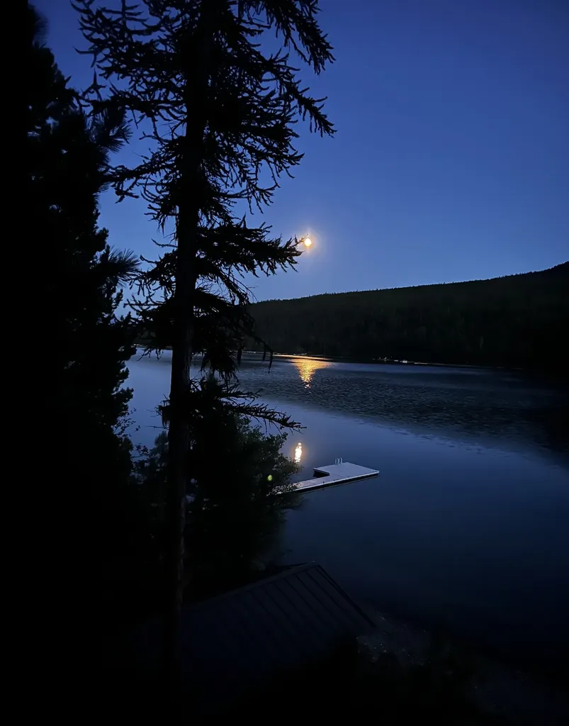 28575 Star Lane Bigfork MT 59911