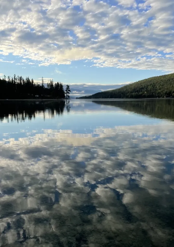 28575 Star Lane Bigfork MT 59911