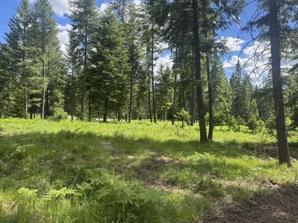 Nhn Big Fir Drive Thompson Falls MT 59873