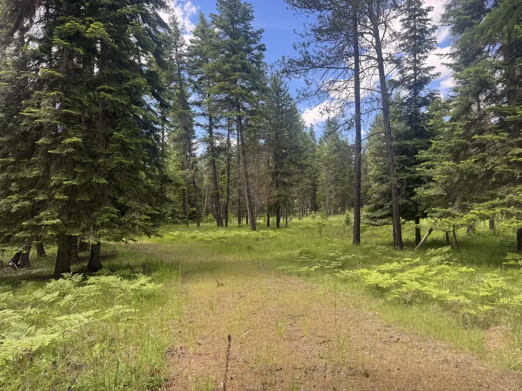 Nhn Big Fir Drive Thompson Falls MT 59873