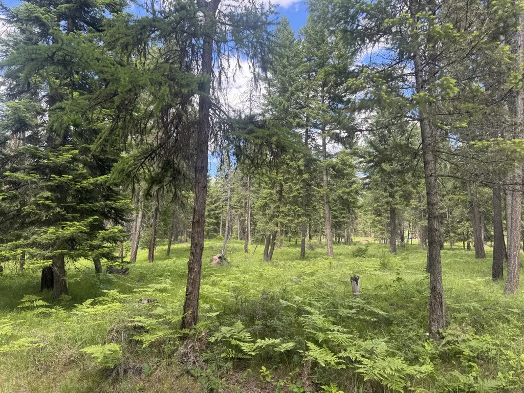 Nhn Big Fir Drive Thompson Falls MT 59873