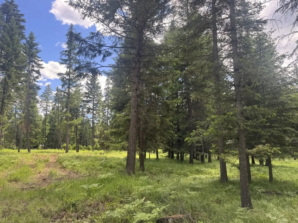 Nhn Big Fir Drive Thompson Falls MT 59873