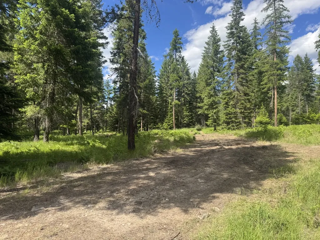 Nhn Big Fir Drive Thompson Falls MT 59873