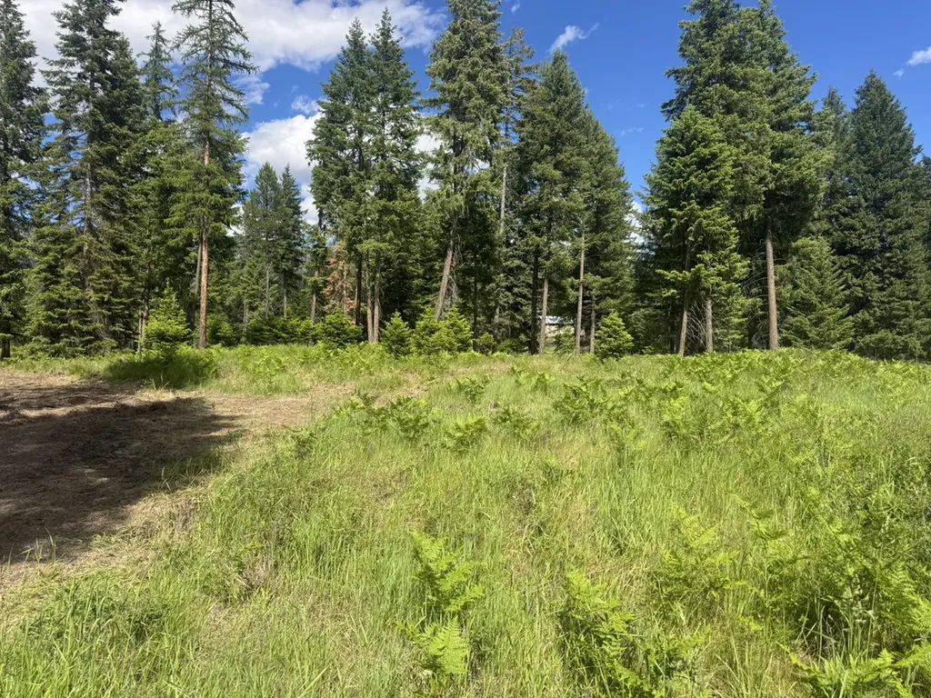 Nhn Big Fir Drive Thompson Falls MT 59873