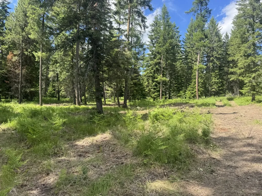 Nhn Big Fir Drive Thompson Falls MT 59873