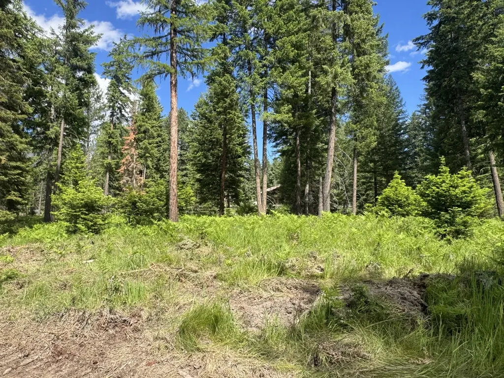Nhn Big Fir Drive Thompson Falls MT 59873