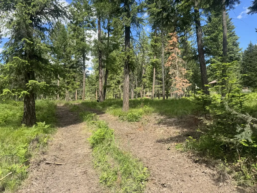 Nhn Big Fir Drive Thompson Falls MT 59873