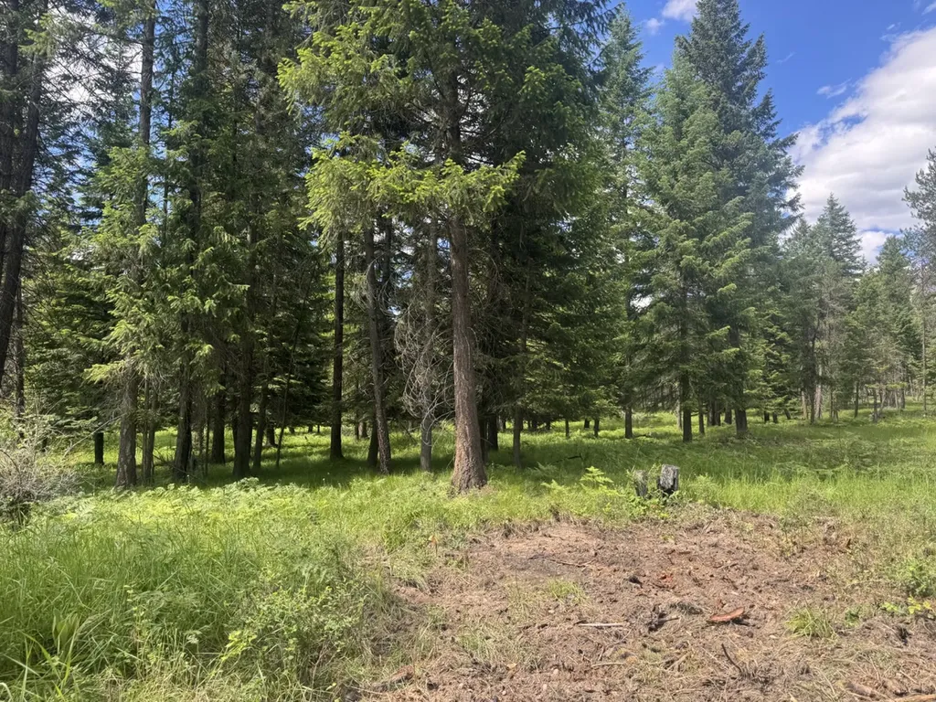 Nhn Big Fir Drive Thompson Falls MT 59873