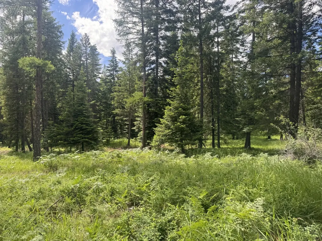 Nhn Big Fir Drive Thompson Falls MT 59873