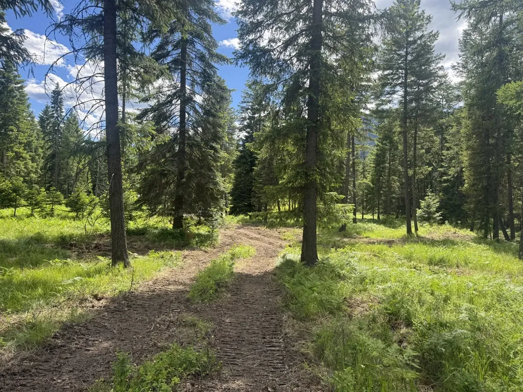 Nhn Big Fir Drive Thompson Falls MT 59873