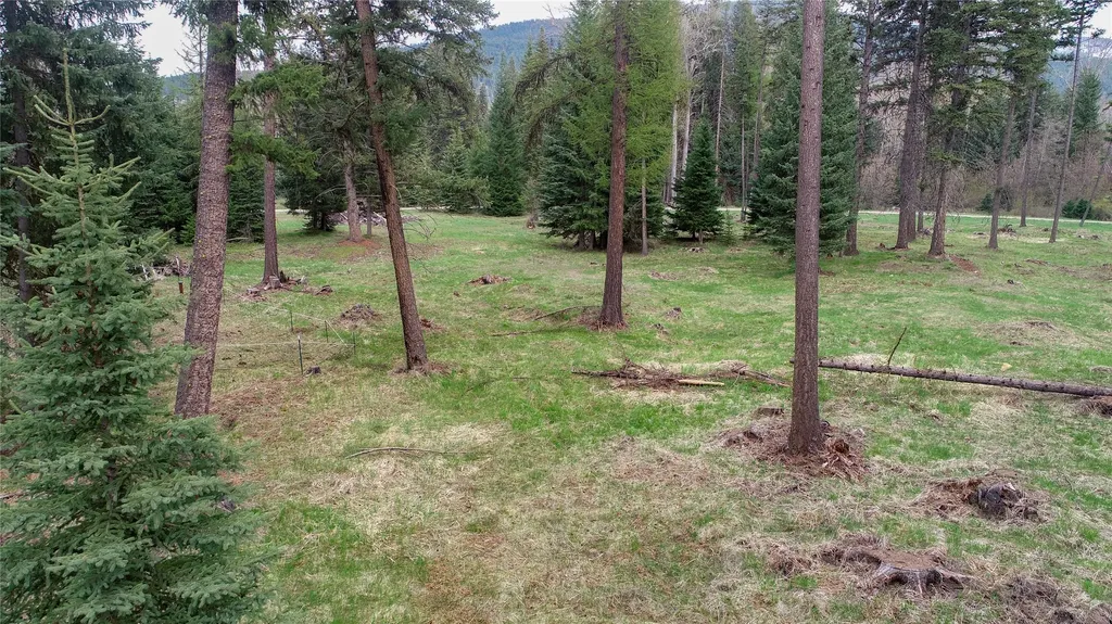 79 Fallen Bear Lane Libby MT 59923