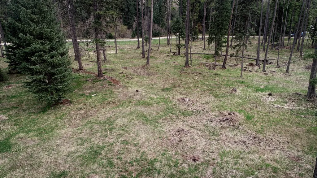 79 Fallen Bear Lane Libby MT 59923