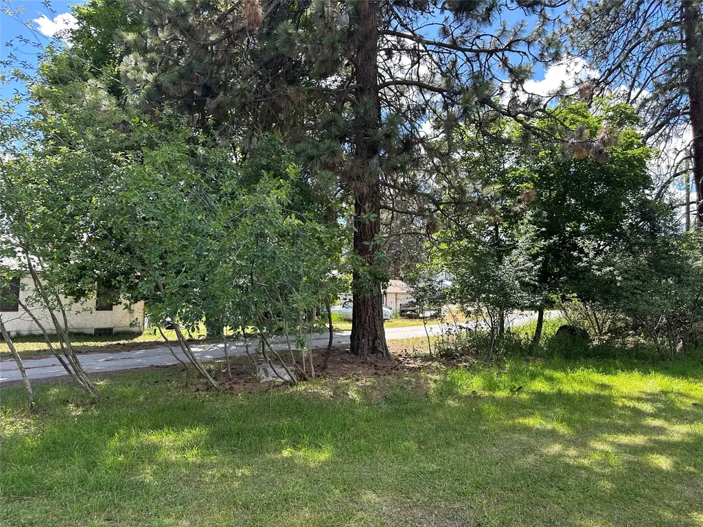 207 Woodland Street Thompson Falls MT 59873