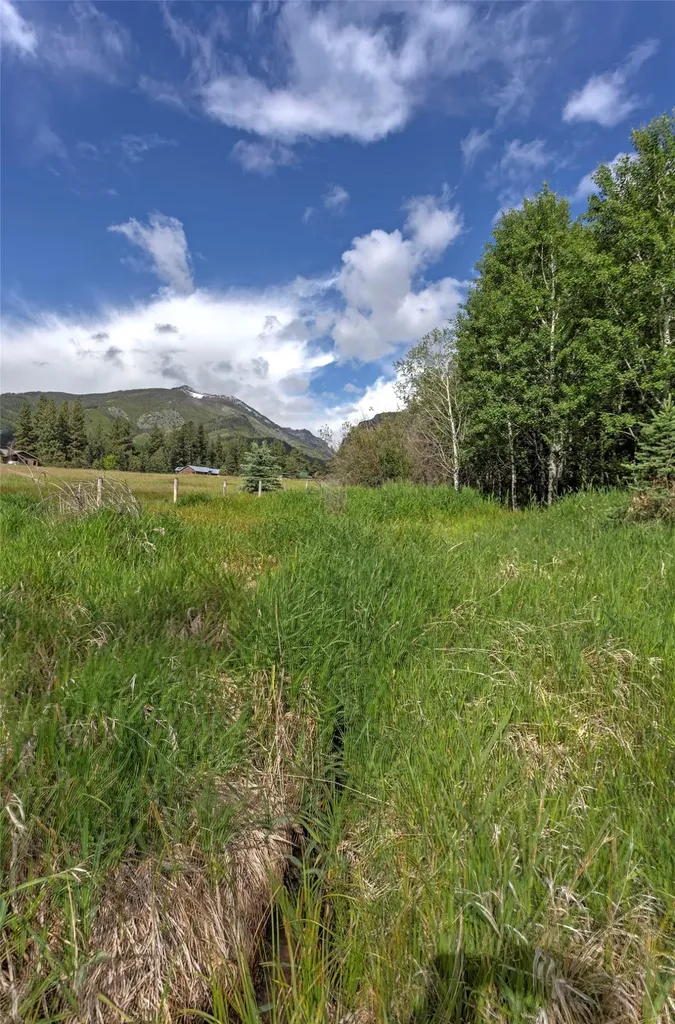 927 Little Deer Trail Hamilton MT 59840
