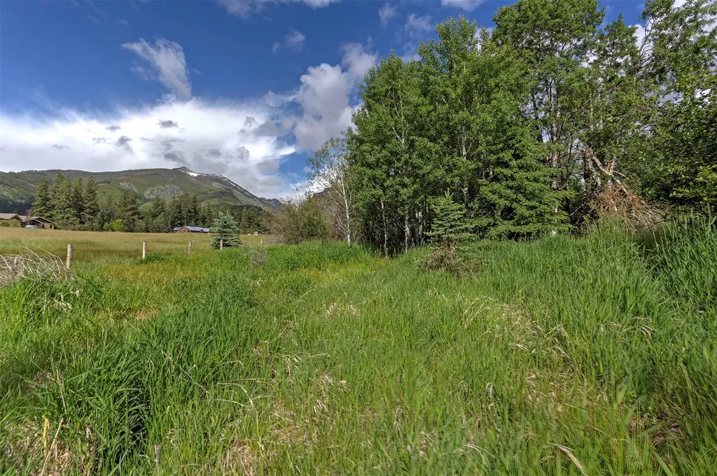 927 Little Deer Trail Hamilton MT 59840