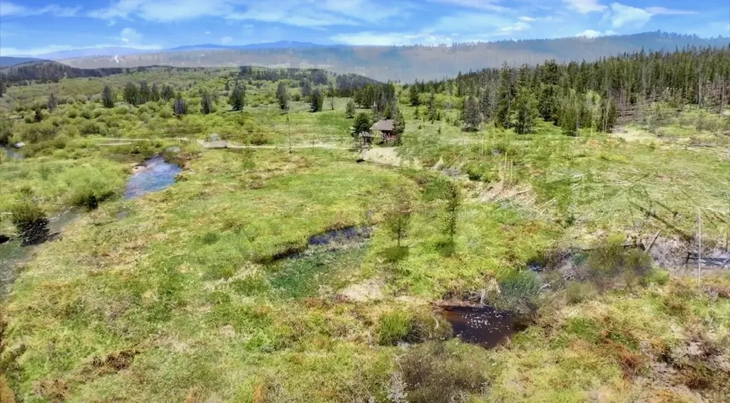 14901 Mt Highway 43 Wisdom MT 59761