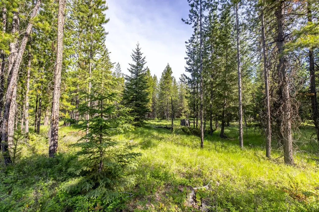 Nhn Fortine Creek Road Trego MT 59934