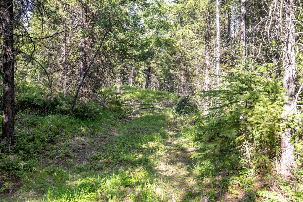 Nhn Fortine Creek Road Trego MT 59934