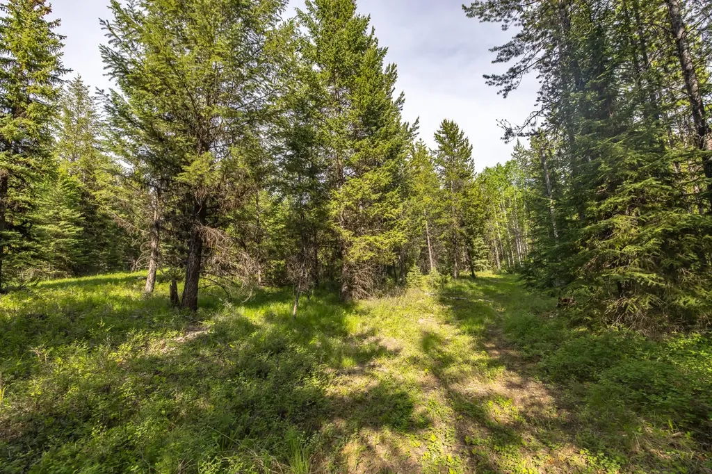 Nhn Fortine Creek Road Trego MT 59934