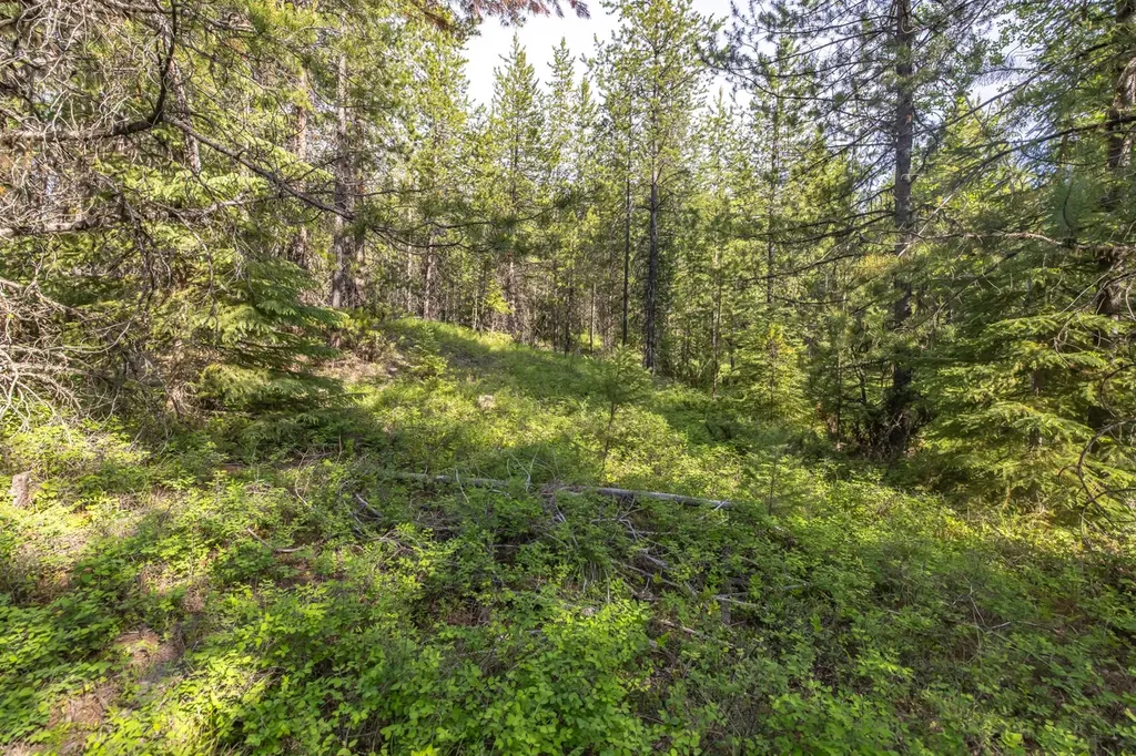 Nhn Fortine Creek Road Trego MT 59934
