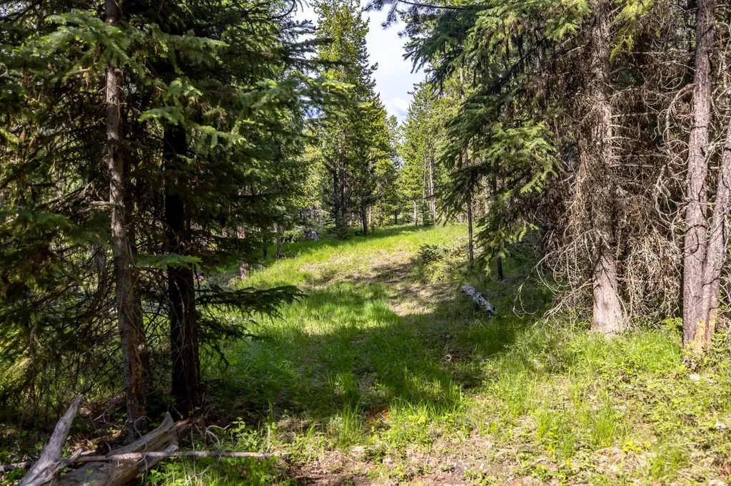 Nhn Fortine Creek Road Trego MT 59934