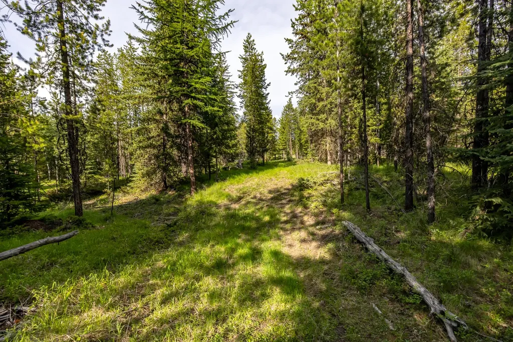 Nhn Fortine Creek Road Trego MT 59934